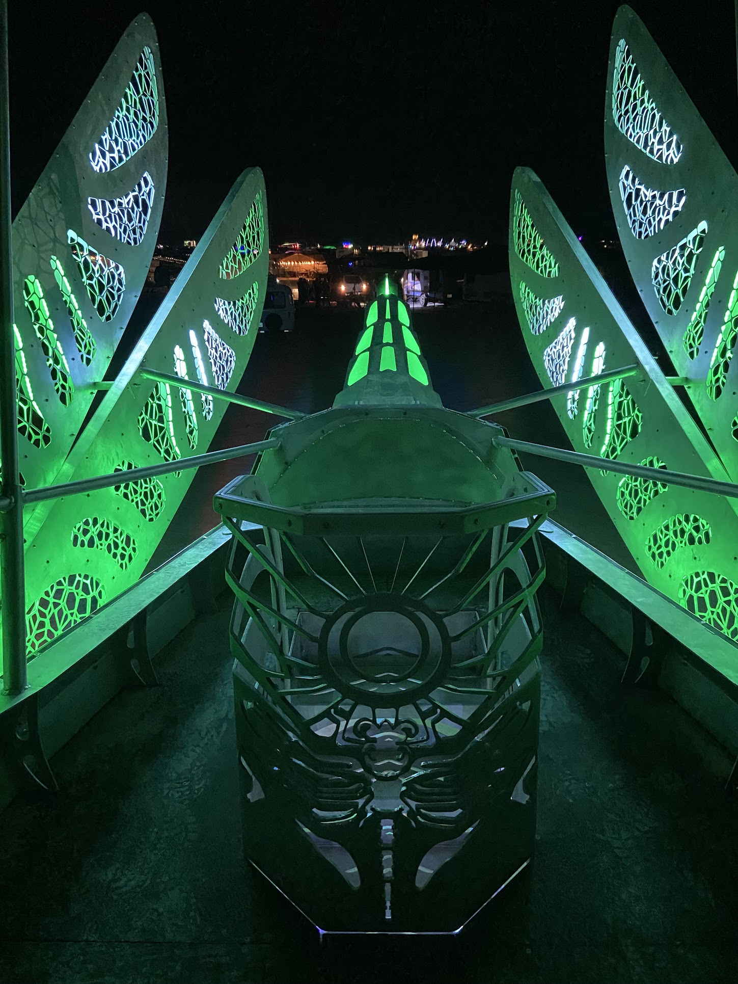 Journey of the Desert Dragonfly — experience