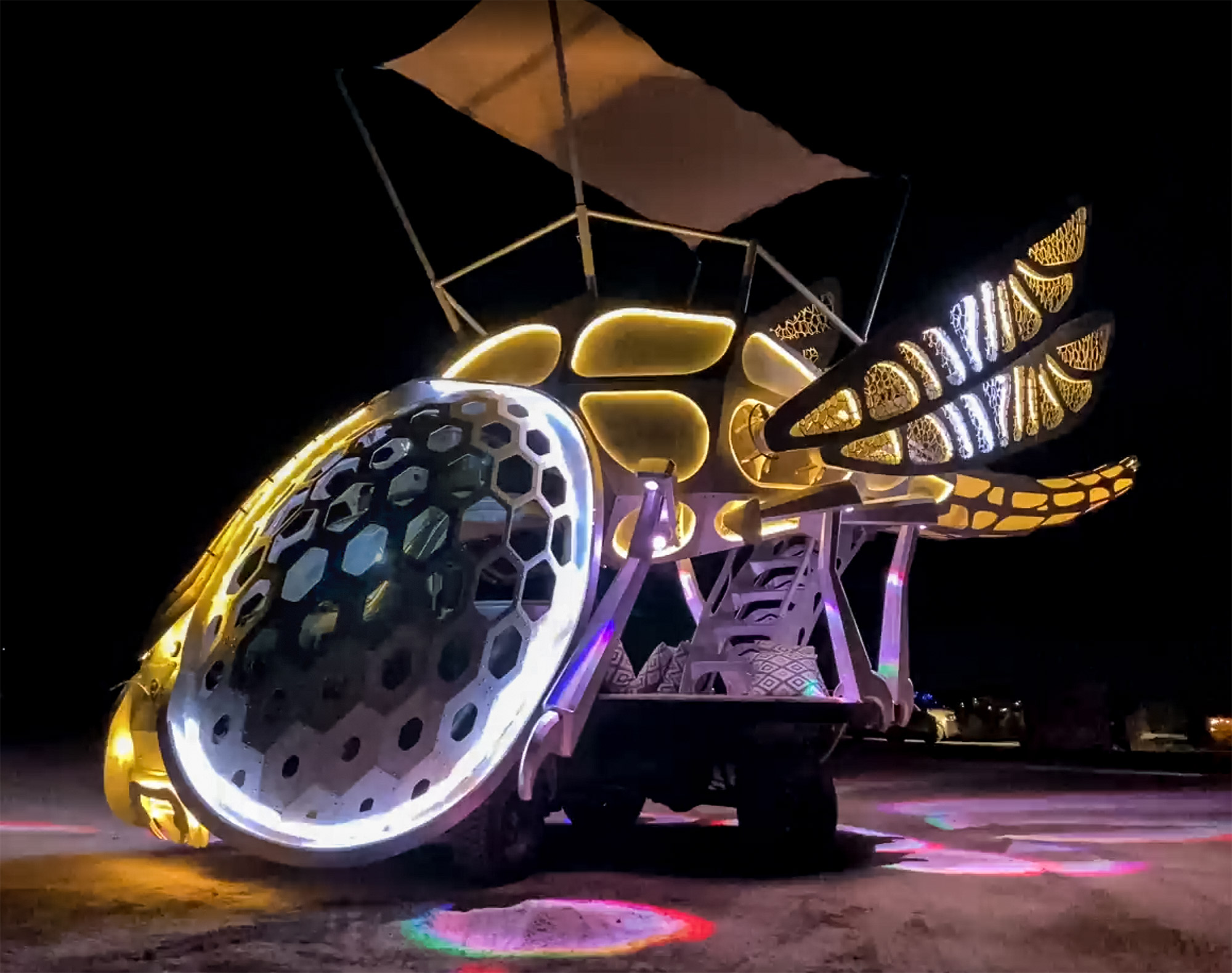 Journey of the Desert Dragonfly