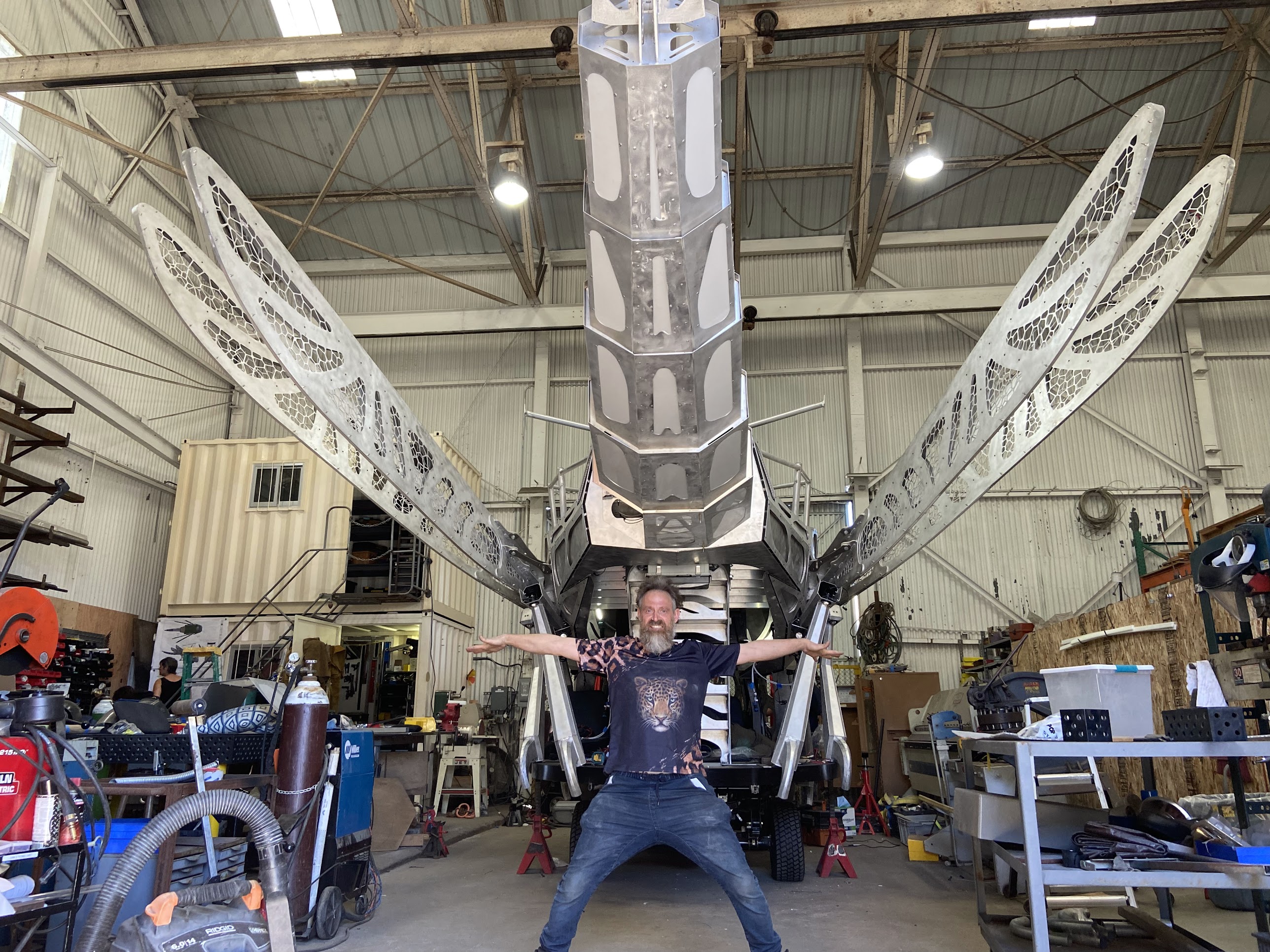 Journey of the Desert Dragonfly — scale tim